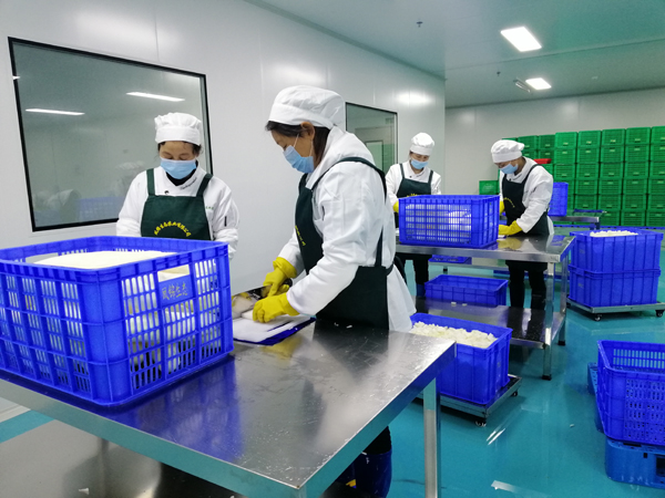 凈菜加工整套生產線 凈菜加工設備 清洗風干切制全套設備定制(圖1)